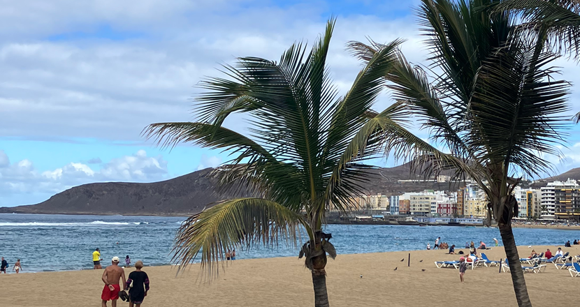 Stranden i Las Palmas med två palmer och ett par. Foto.