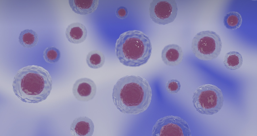 Foto på runda celler från mikroskåp
