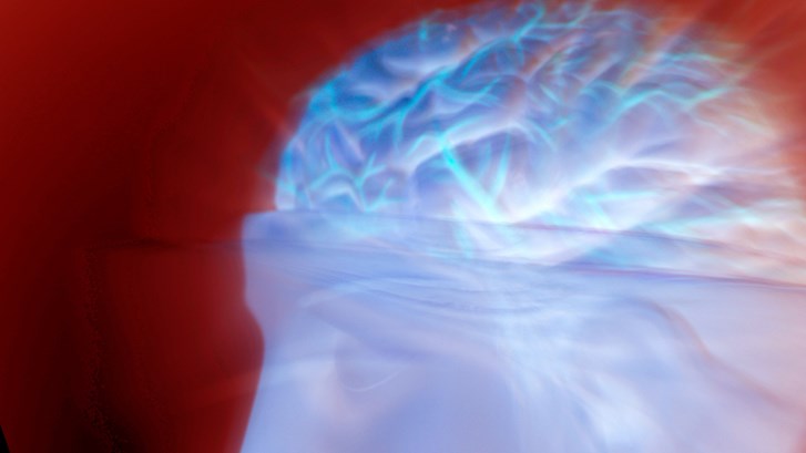 Bild av dockhuvud med hjärnan synlig