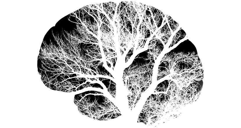 Hjärna illustrerad som ett träd. Illustration