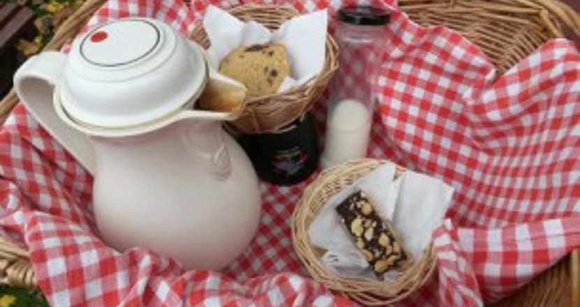 En röd-vitrutig duk i en korg med en vit termos och fikabröd. Foto.