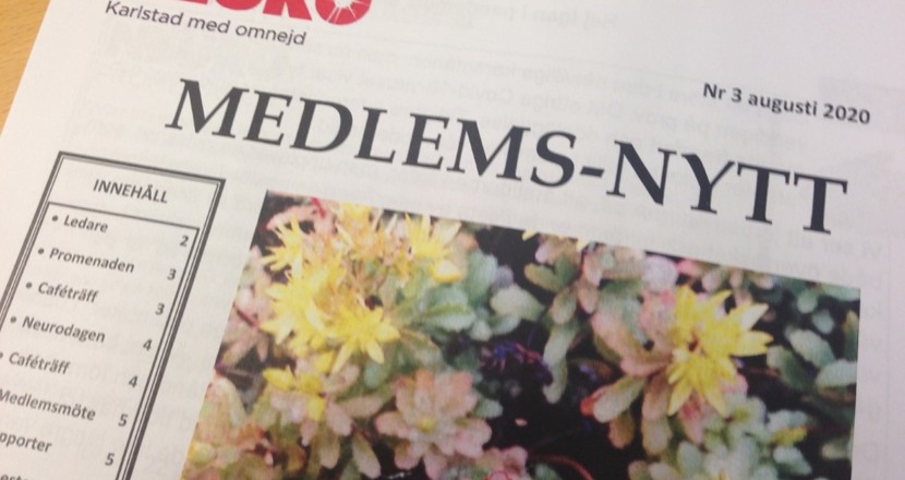 Medlemsnytt nr 3/2020. Foto.