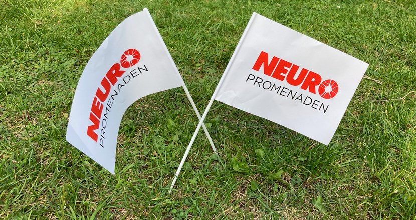 Två flaggor i en gräsmatta med texten Neuropromenaden.