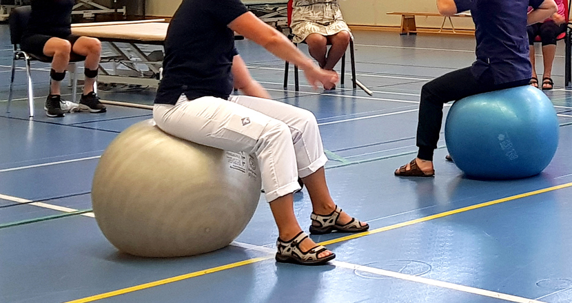 Personer som sitter på varsin pilatesboll. Foto.