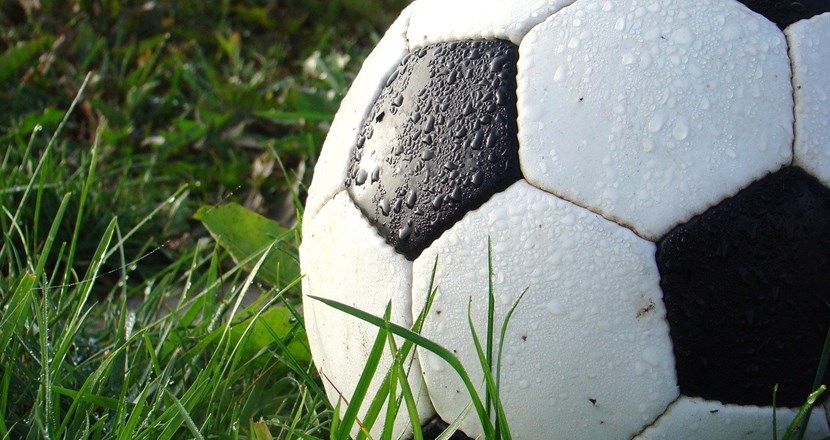 En fotboll på en gräsmatta. Foto.