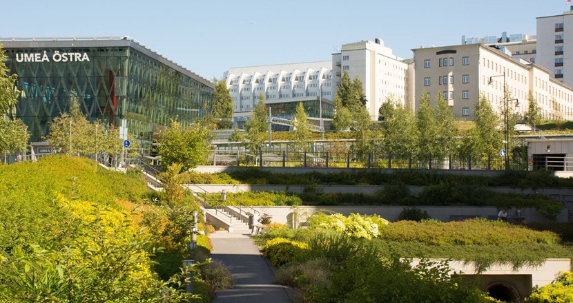 Umeå universitetssjukhus sett på avstånd. Foto.