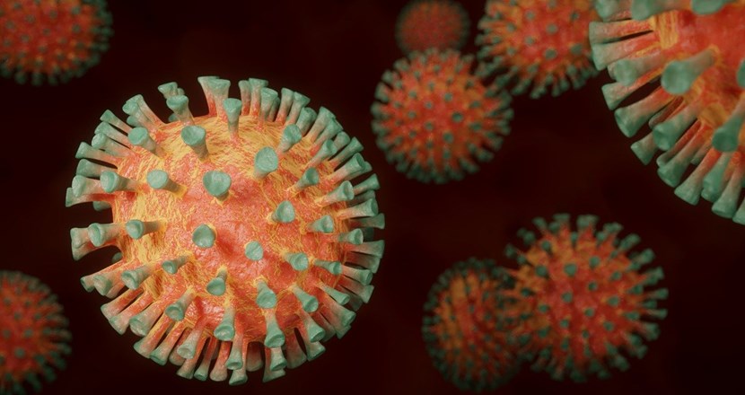 Närbild på ett coronavirus. Foto.