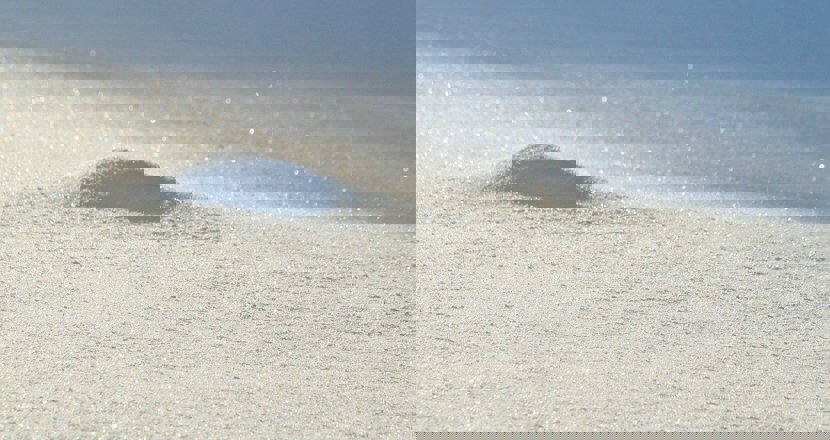 En bild på orörd snö. Foto.