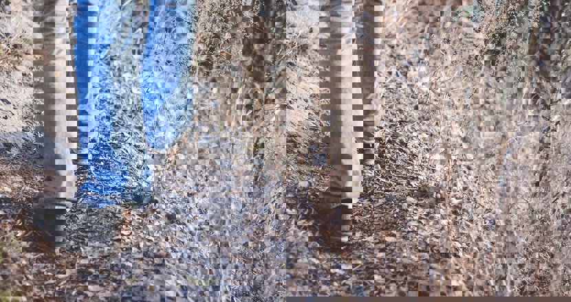 Vi träffas och tar en gemensam promenad - till fots, på hjul med egen kraft eller på hjul som drivs med elkraft. Bild på promenerande ben. Bild: pixabay.com.