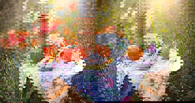 Ta med egen fikakorg till Kilenegården, så möts vi där! En bild med en uppdukad fikakorg. Bild: pixabay.com.