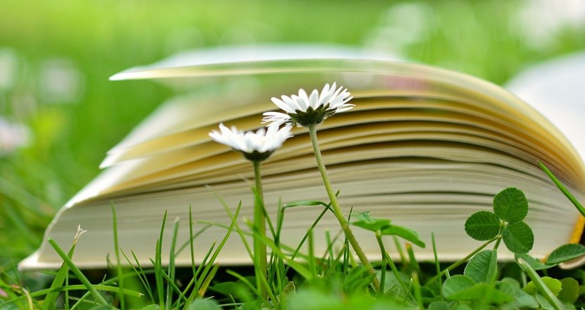 En uppslagen bok i gröngräset. Foto.