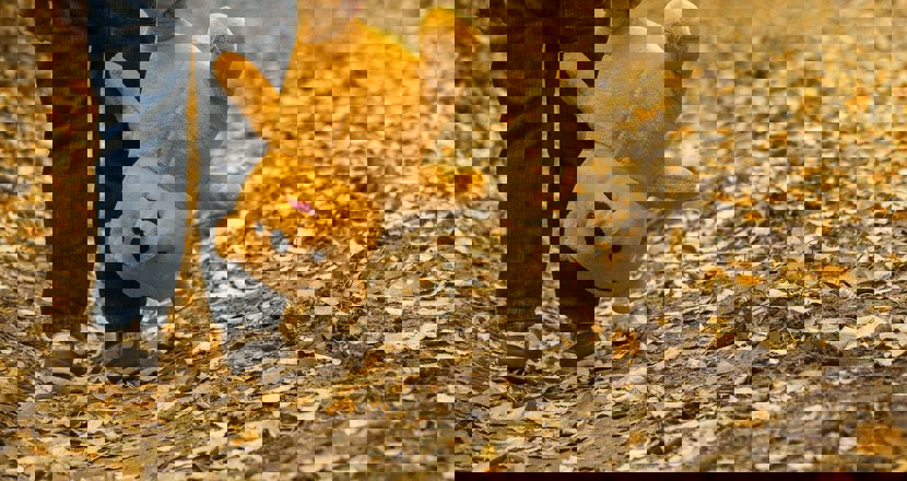 Ett barn med en nalle i handen. Foto.