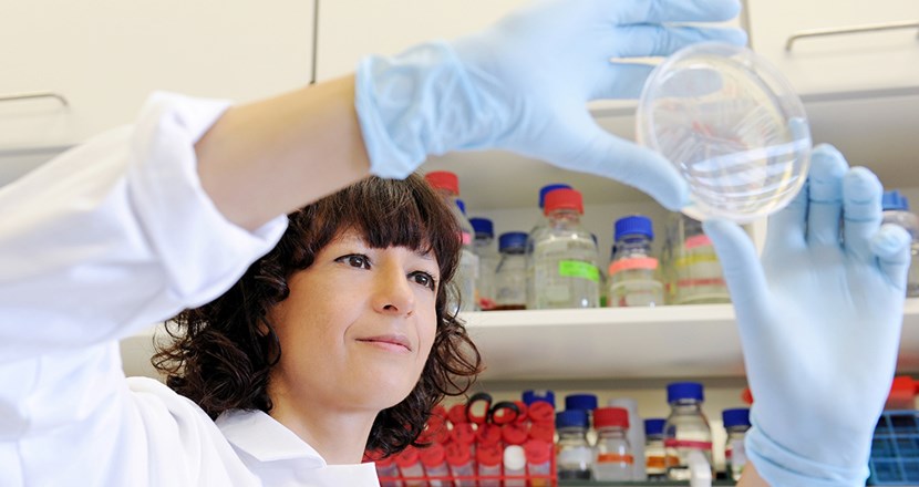 Forskaren Emmanuelle Charpentier håller upp en plastskål med forskningsmaterial. Foto Hallbauerfioretti