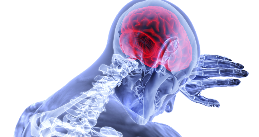 En illustration av hjärnan och skelettet på en människa. 
