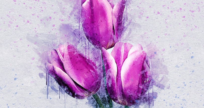 Tre lila tulpaner. Akvarell.