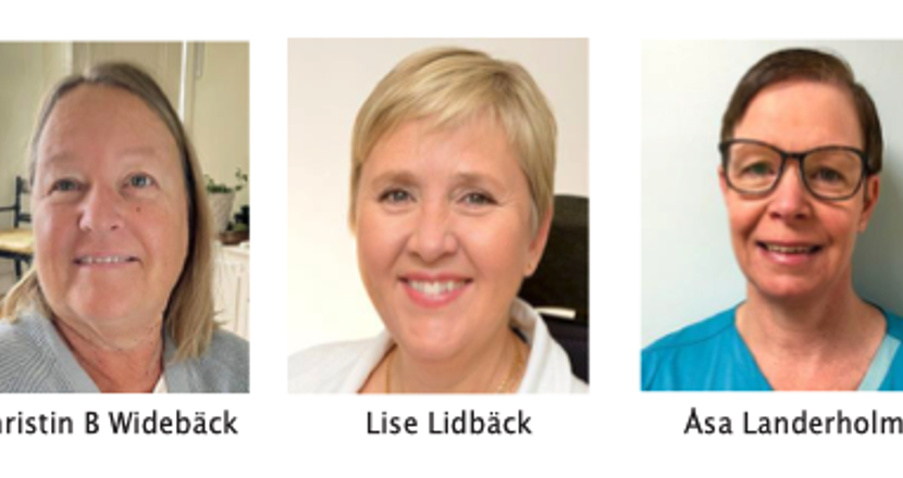 Skärmdump med fem personer i varsin ruta.