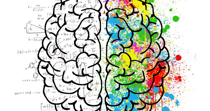 Hjärnan med två halvor (logisk och kreativ). Illustration.