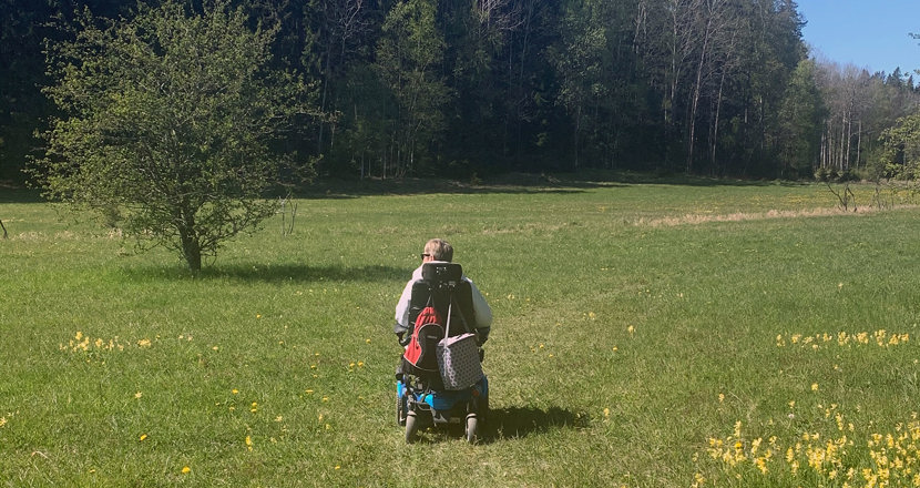 Lise Lidbäck i sin elrullstol på en grön äng med gullvivor. Foto.