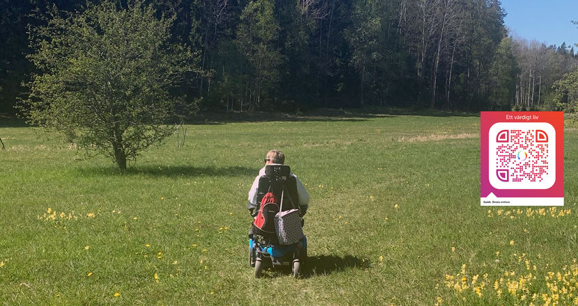 Lise Lidbäck sedd bakifrån i sin elrullstol på en vacker försommaräng. Foto.