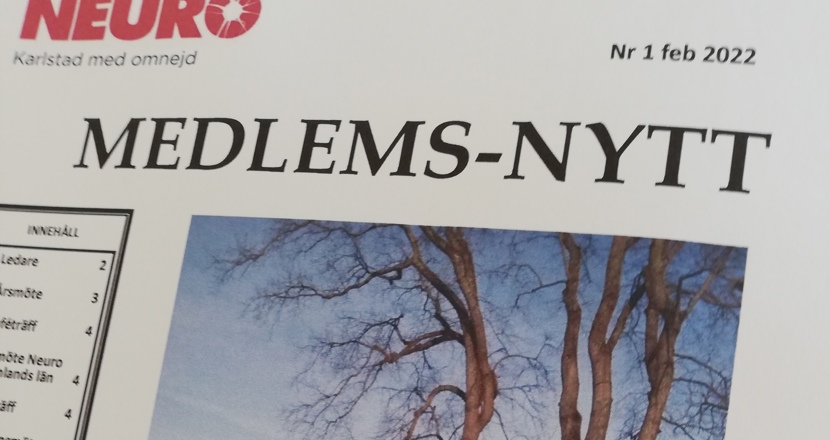 Ett nytt Medlems-nytt är här! En bild på vårt senaste medlemsutskick med en färgbild på ett stort träds kala stammar. Foto. 