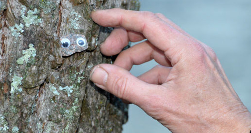 En ögonsten (en sten med ögon på)