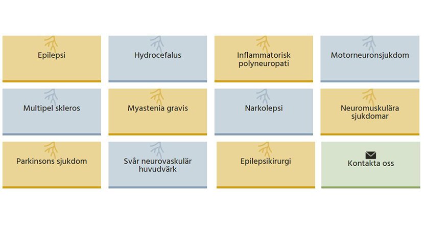 Skärmbild från startsidan på Svenska neuroregister
