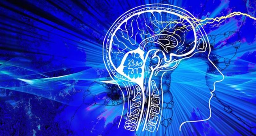 Tecknad siluettbild på ett huvud och hjärna på blå bakrund