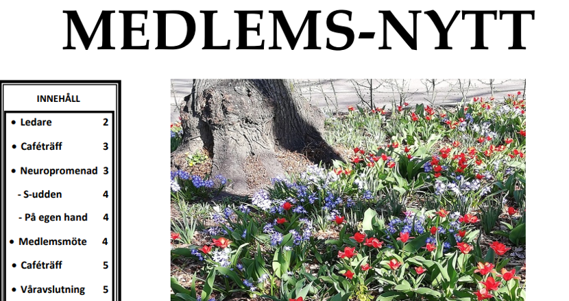 En bild på vårt nya Medlems-nytt. Foto.