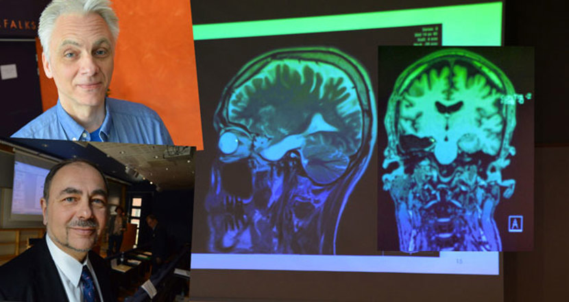 Fotomontage om epilepsi