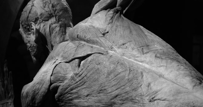 Svartvit bild på en rygg.