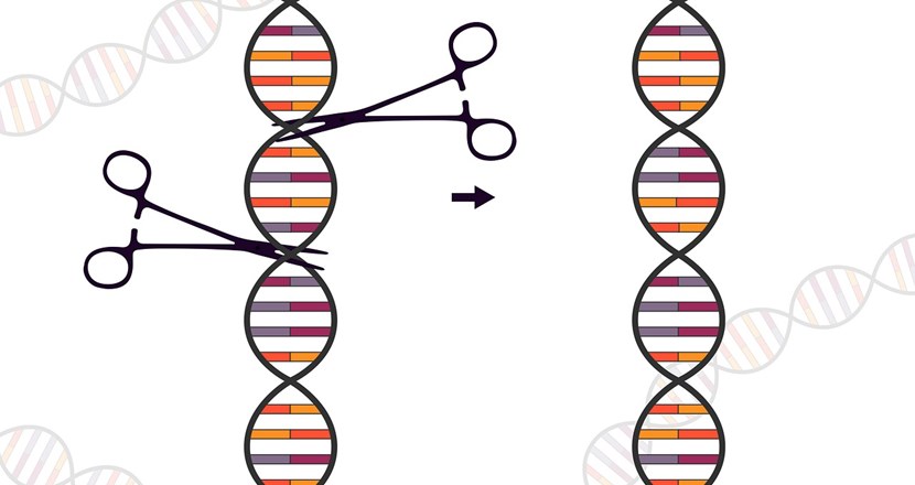 Två DNA-strängar och två saxar på den ena. Illustration.