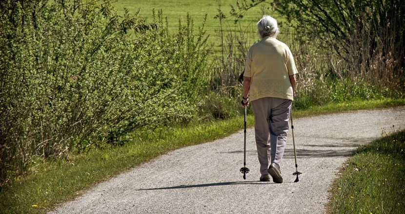 Äldre kvinna som går med stavar, sedda bakifrån. Går på en grusväg med grönska på båda sidorna. Foto.