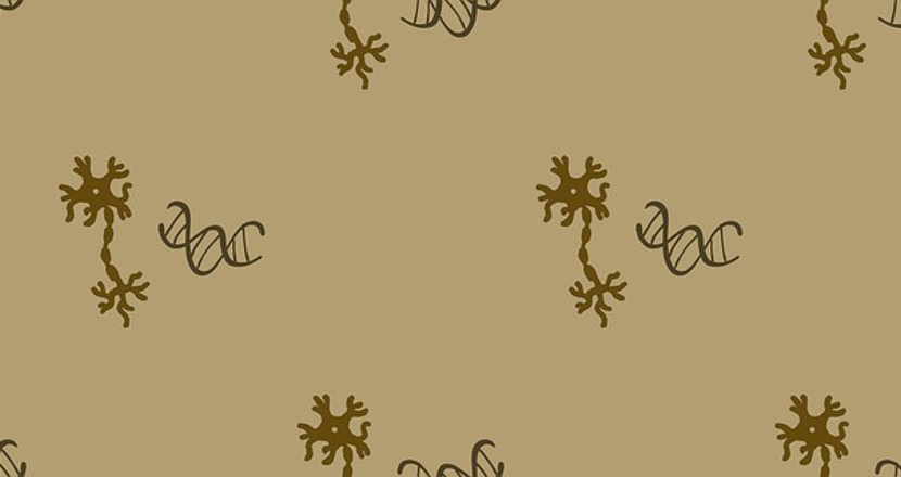 Ett mönster med DNA och nervceller bredvid varandra. Illustration.