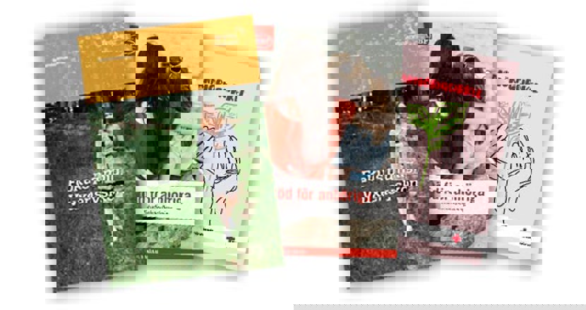 Skärmdump med tre broschyrer.