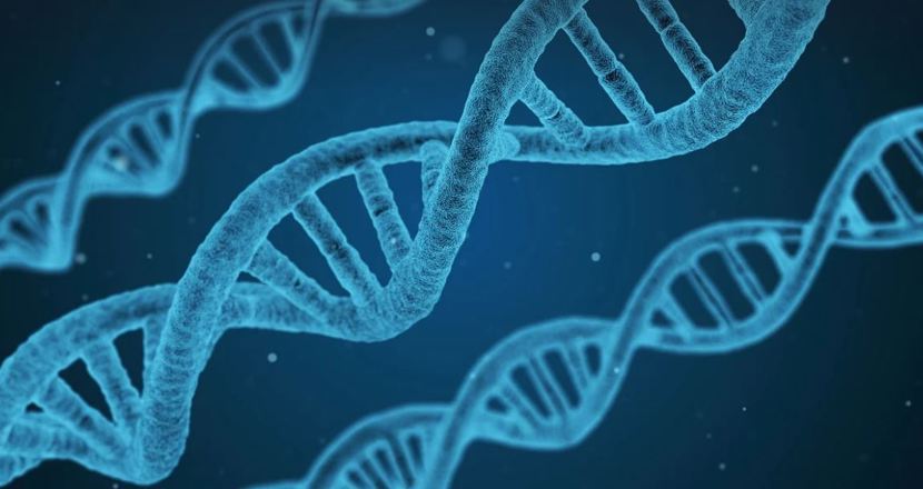 DNA-slingor i blå toner