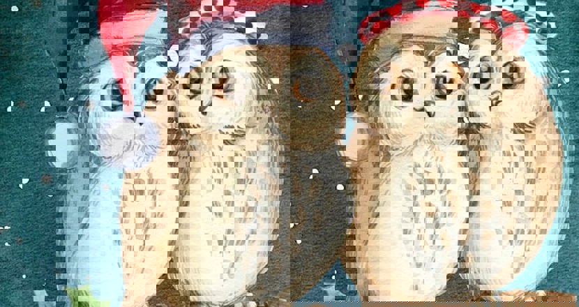 Sitt inte ensam på julafton, då Resurscentrum kommer att ha öppet och extra aktiviteter på julafton. Två ugglor med tomteluvor sitter på en gren. Teckning.