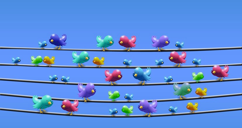 Färgglada fåglar på svarta telefontrådar mot en blå himmel. Illustration.