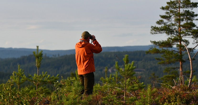 Man med orange jacka står med kikare i skogslandskap. Foto.