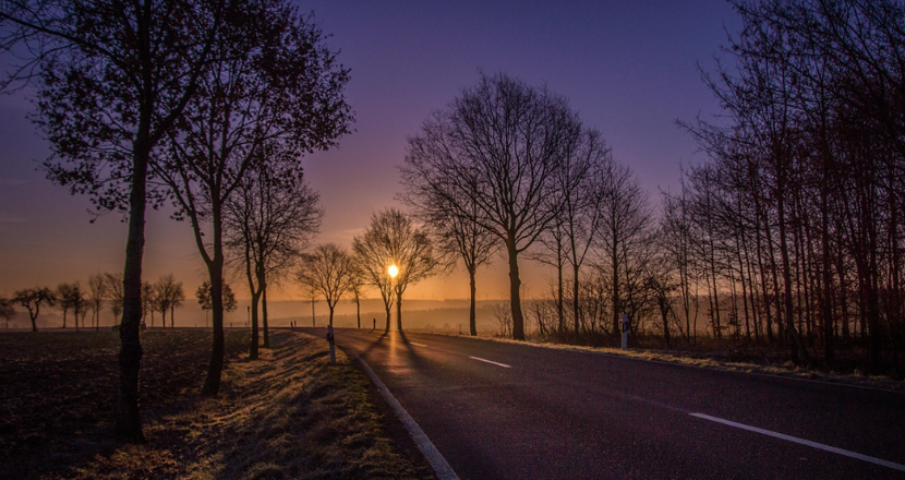 Solnedgång bakom träd