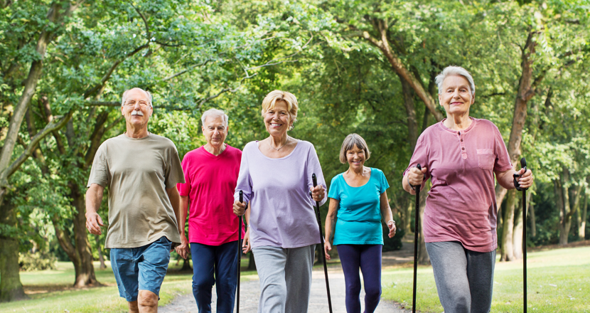 Fem pigga pensionärer i träningskläder går mot oss med en grön lövskog i bakgrunden. Foto.