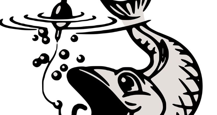 Bild nappande fisk