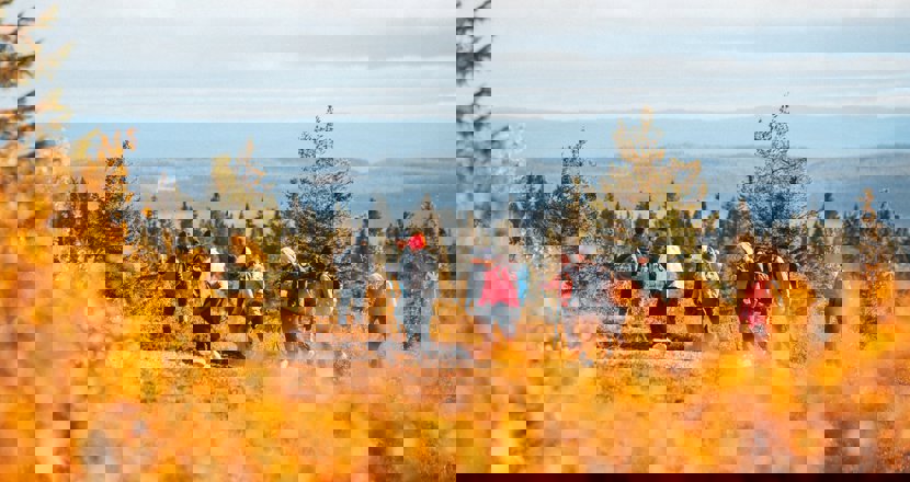 Grupp med människor som vandrar i fjällen. Foto.