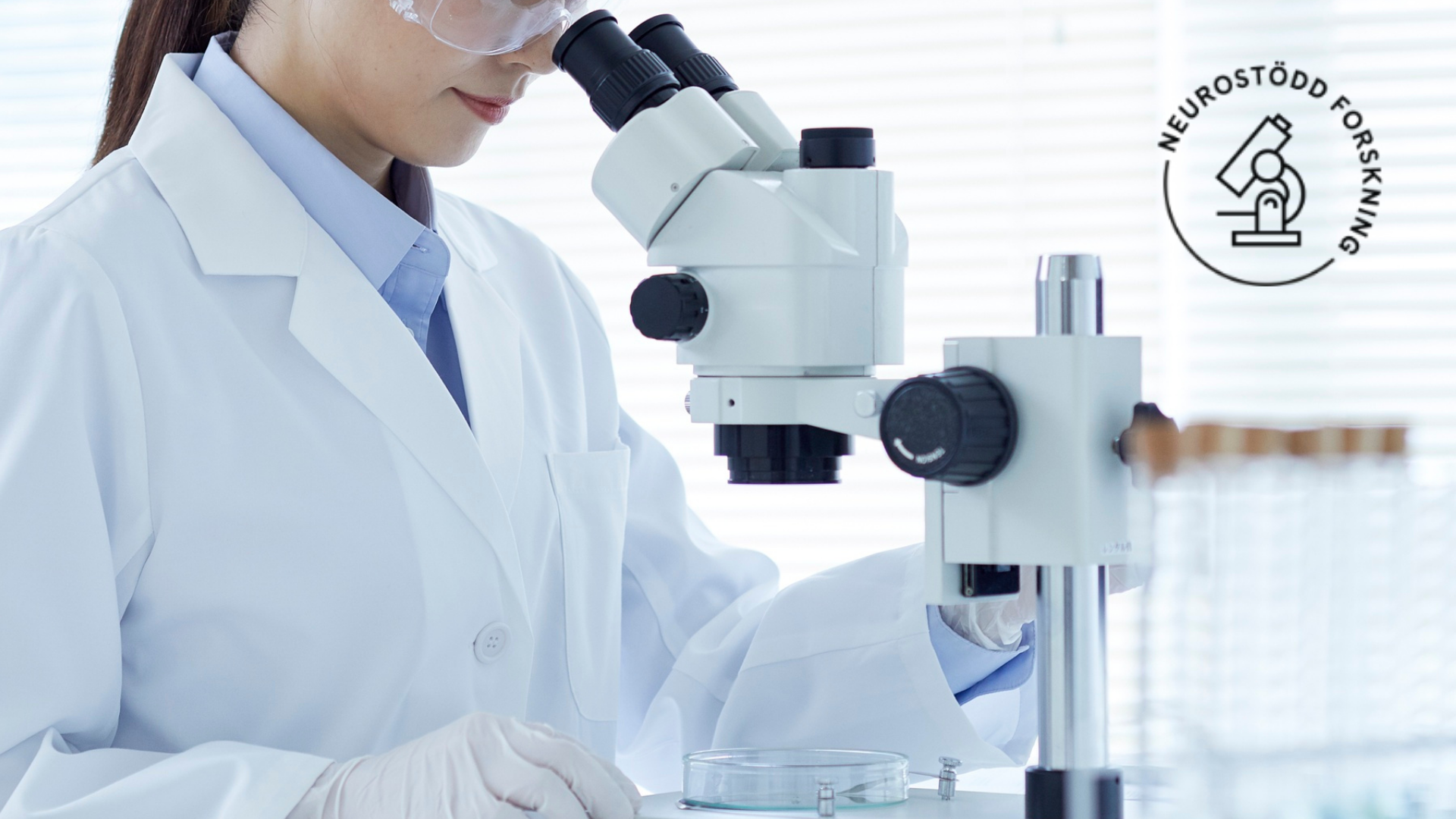 Celler från moderkakan kan dämpa inflammation vid MS | Neuro