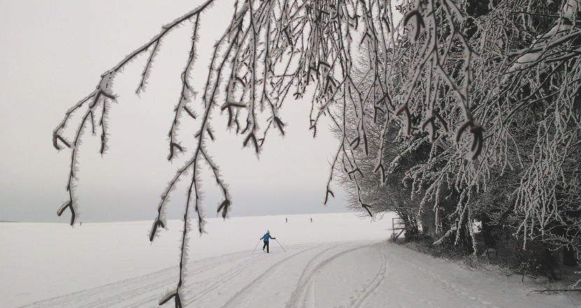 Ett snöigt skidspår i dimma.