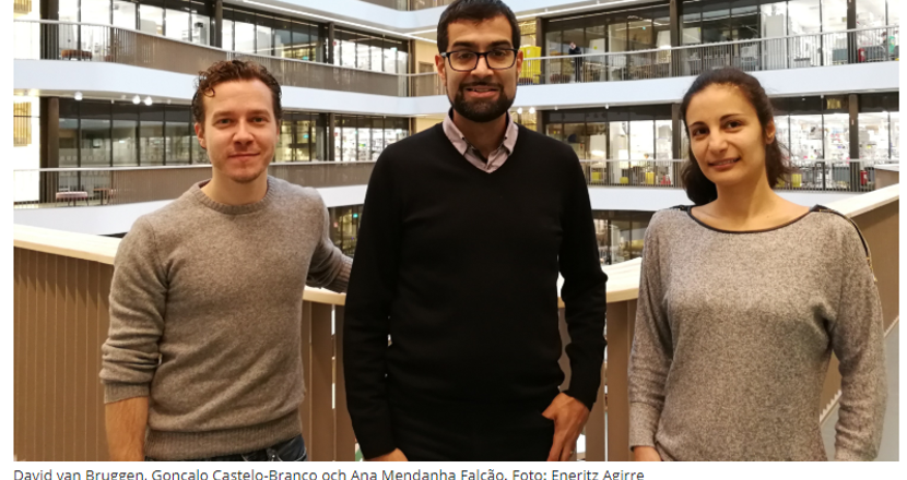 Forskare på Karolinska Institutet: David van Bruggen, Gonçalo Castelo-Branco och Ana Mendanha Falcão. 