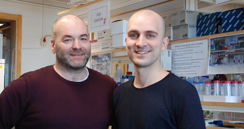 De två forskarna Bob Harris och Harald Lund.