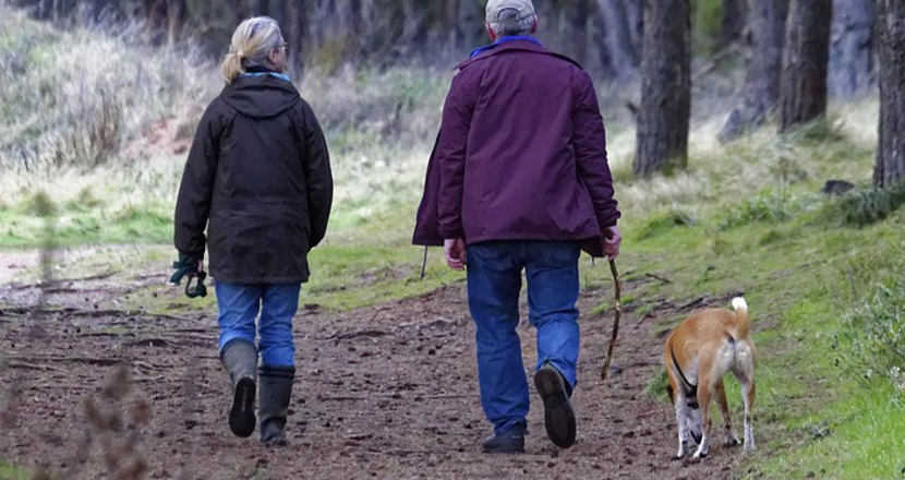 Kvinna, man och hund på skogspromenad