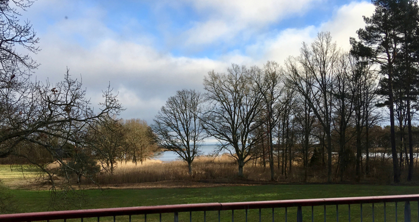 Utsikt från huset