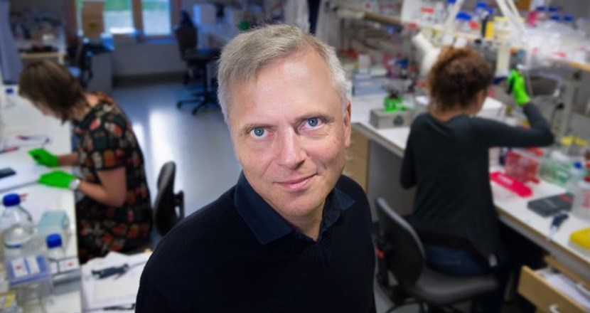 Porträttbild på den svenske forskaren Patrik Ernfors