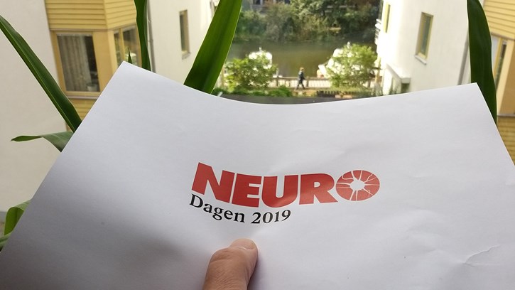 Genrebild Neurodagen 2019 printat på papper. Foto: Håkan Sjunnesson